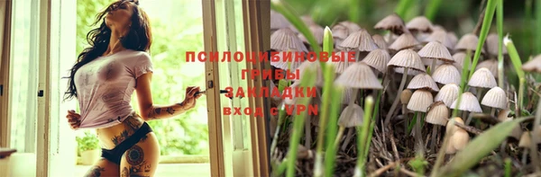 прущий лед Заводоуковск