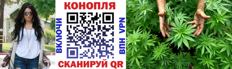 Конопля планчик  Купить  Чапаевск 